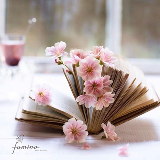 Telegram profile photo for أكادمية بستان الهدى 💐