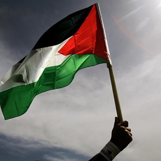 Telegram profile photo for مجموعة المصطفى
