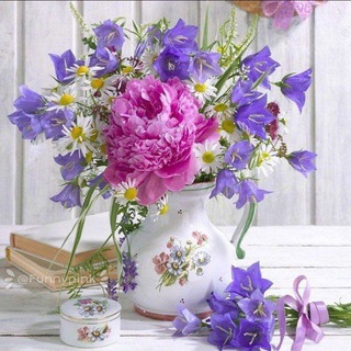 Telegram profile photo for دوستانه