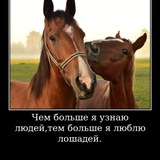 Telegram profile photo for ♡Лошадиные мемы♡