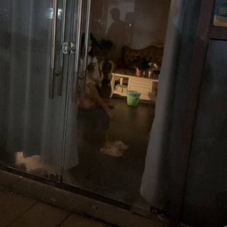 Telegram profile photo for 全国站街spa会所