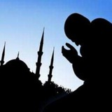 Telegram profile photo for Записки мусульманина