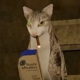Telegram profile photo for Ноябрь.png