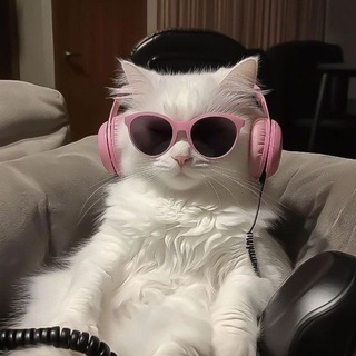 Telegram profile photo for بزونه