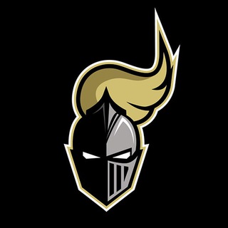 Telegram profile photo for CryptoKnight420 Public Signals