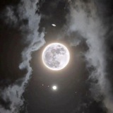 Telegram profile photo for π―ππ π
ππππβ¨