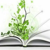Telegram profile photo for دیباچه دانش