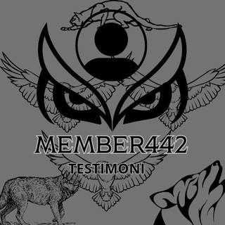 Telegram profile photo for MEMBER442 TESTI