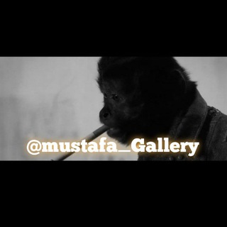 Telegram profile photo for mustafa Gallery... 🇮🇶