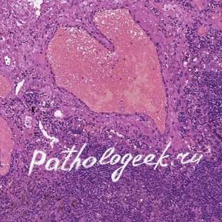 Telegram profile photo for Pathologeek