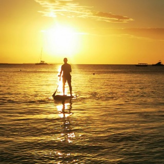 Telegram profile photo for INFODIVING NEWS