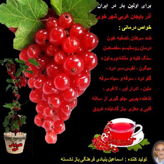 Telegram profile photo for کانال انگور فرنگی خوی 🍇
