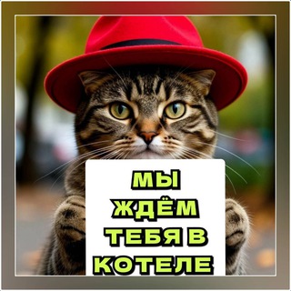 Telegram profile photo for КОТЕЛЬ СМОЛЕНСК ❤️🐈