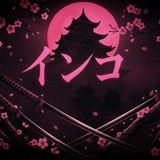 Telegram profile photo for Navigation