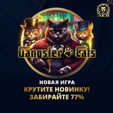 Telegram profile photo for Как гарантировать занос при минимальном депозите