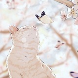Telegram profile photo for реклама 한리냥 marie