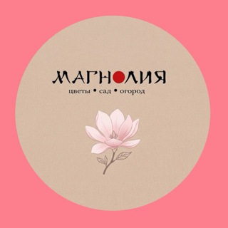 Telegram profile photo for ЦВЕТЫ МАГНОЛИЯ Агинское 💐