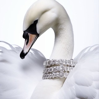 Telegram profile photo for 𝑻𝒂𝒘𝒍𝒊𝒃