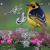 Telegram profile photo for 💞کانال دل شیدایی Afshoon 💞