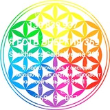 Telegram profile photo for РАСПИСАНИЕ- Shakhnoza Saidaliyevna369