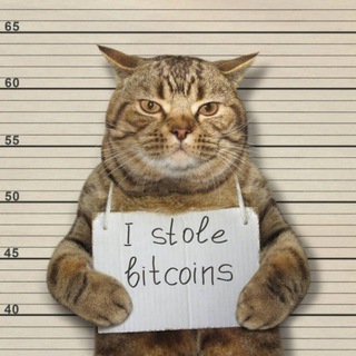 Telegram profile photo for Technical calls ππ―