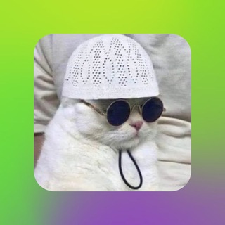 Telegram profile photo for Hamza Jbuor