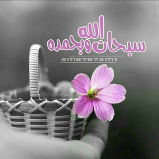 Telegram profile photo for الكلمة الطيبة (صدقة)