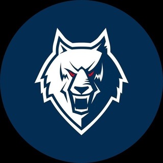 Telegram profile photo for Wolf