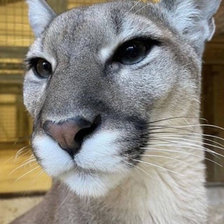Telegram profile photo for мой путь