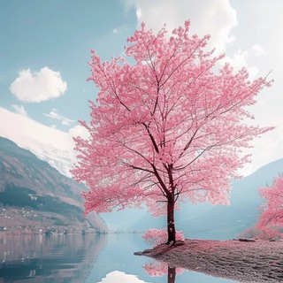Telegram profile photo for Beautiful_Life