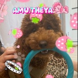 Telegram profile photo for 𝐀𝐌𝐔.THEYA 🎀