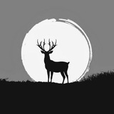Telegram profile photo for ๐