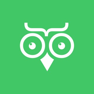 Telegram profile photo for Birdbook
