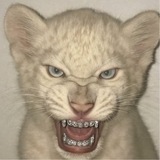 Telegram profile photo for Макс