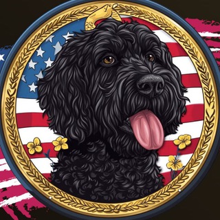 Telegram profile photo for BoWalletSniffer | PORTAL