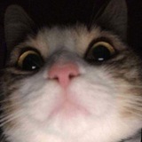Telegram profile photo for πππ°π€ππ²π