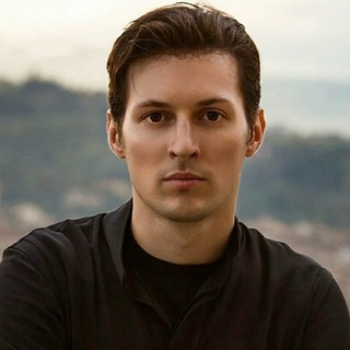 Telegram profile photo for TG GIFTS AND BOTS
