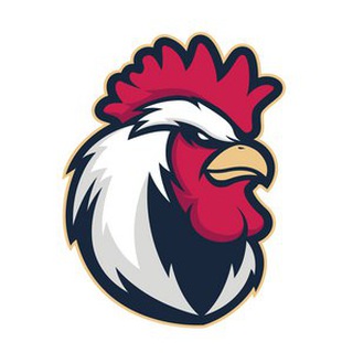 Telegram profile photo for 免费轰炸机