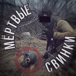 Telegram profile photo for переходник | мертвые свинки 🇺🇦🐷