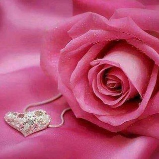 Telegram profile photo for أحباب التل ahbab altal