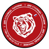 Telegram profile photo for Две столицы: ТЫЛОВИК