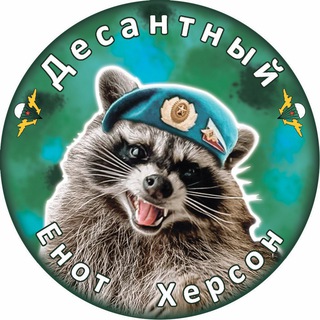 Telegram profile photo for Енот Херсон🦝