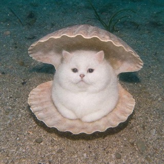 Telegram profile photo for Vogue над Волгой 🌊 Find a Way Kiki ball