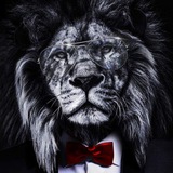 Telegram profile photo for Mahdi Design