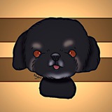Telegram profile photo for Кадры Бонни🐶