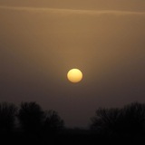 Telegram profile photo for ء