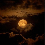Telegram profile photo for rrqxet