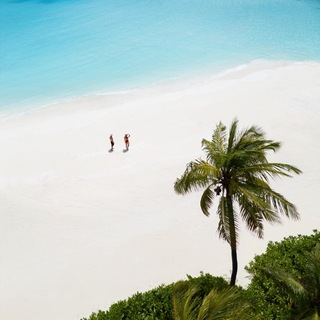 Telegram profile photo for Minor Hotels Maldives