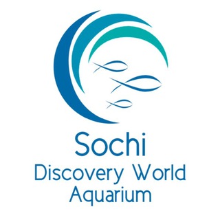 Telegram profile photo for Океанариум Sochi Discovery World Aquarium
