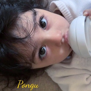 Telegram profile photo for Pongu